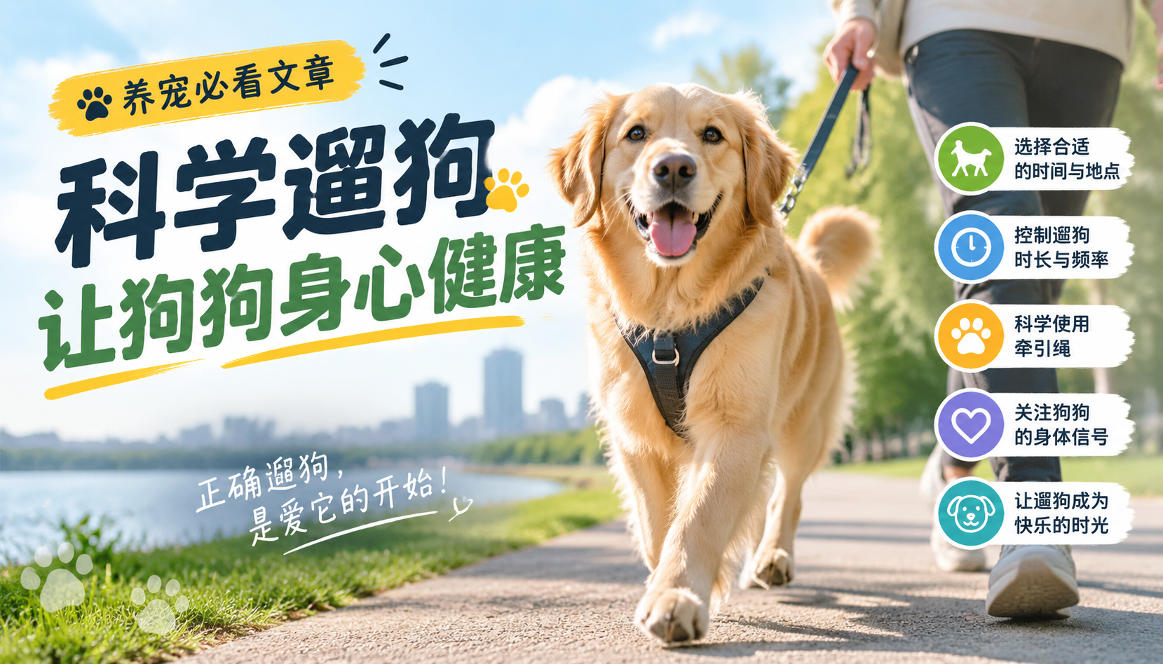 科学遛狗,让狗狗身心健康 科学遛狗,让狗狗身心健康.png